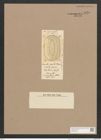Surirella sp. (de-Toni-Nr.: Genus 53, Species 2407 ?) Zeichnungen Sammlung Grunow Nr. 4830 (NHMW-BOT-W0372991)
